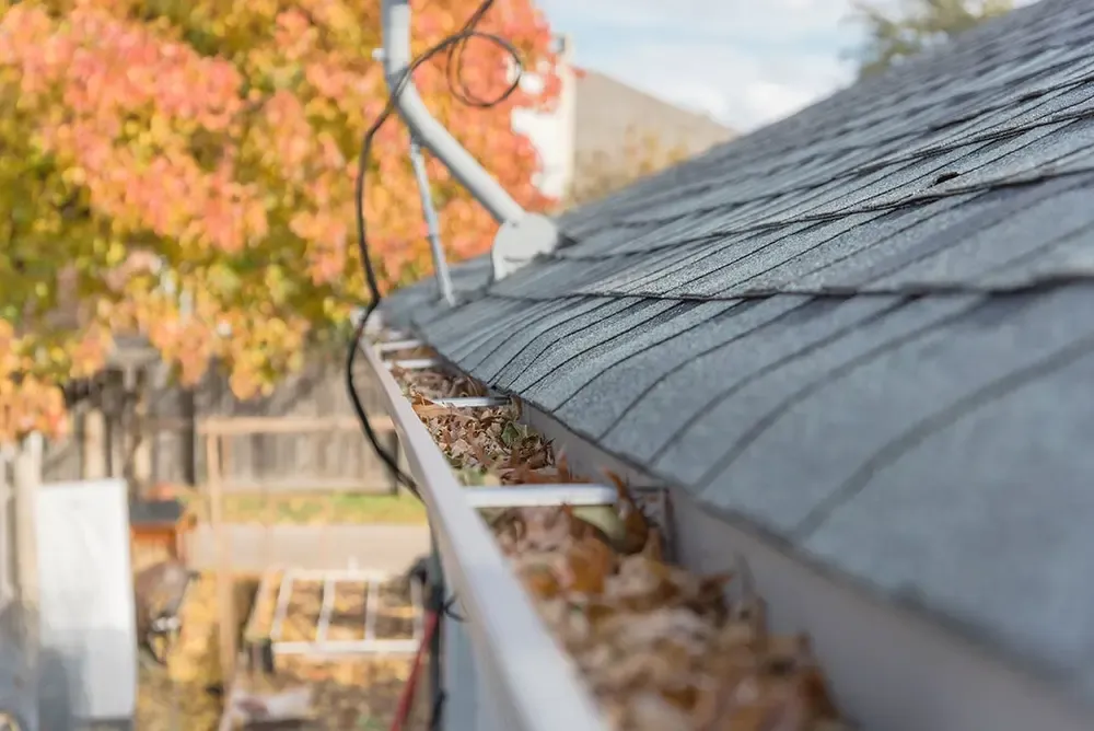 Protecting Mesa roofs since day one.